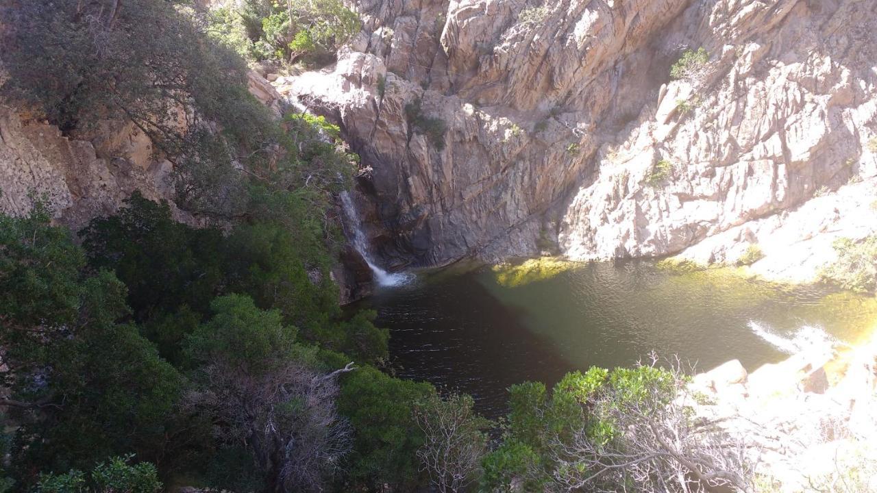 B&B Le Isole San Teodoro  Esterno foto